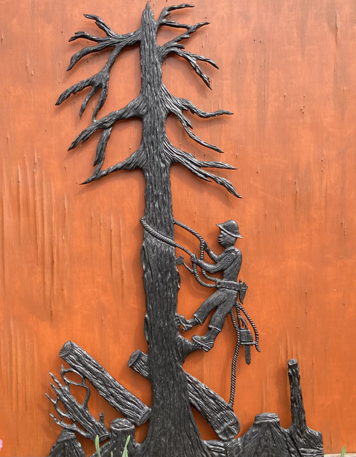 arborist climbing a tree by Vancouver Island Woodworker Kim Reavley